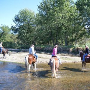 Meet your Posher, Donna